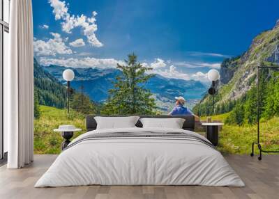 Beautiful summer landscape of Switzerland with Grosser Mythen mountain and green meadows, Ibergeregg, Switzerland, Europe Wall mural