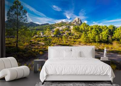 Pine trees in Col de Bavella mountains, Corsica island, France Wall mural