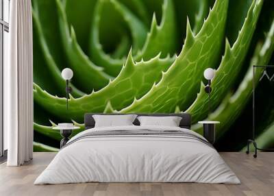 Close-Up Macro Photography of Aloe Vera Leaf Wall mural