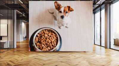 cute small jack russell dog at home waiting to eat his food in a bowl. Pets indoors Wall mural