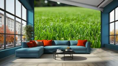 Detailed close up of vibrant green bermuda young grass flourishing on a lush well maintained lawn Wall mural