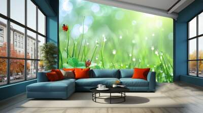 Dewy Green Grass Meadow With Ladybugs Wall mural