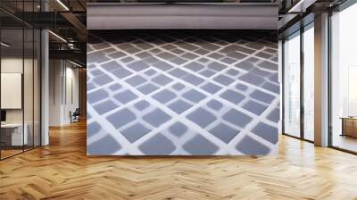 Gray and White Diamond Grid Pattern Carpet Wall mural