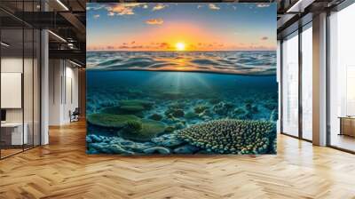 Split view of great barrier reef marine ecosystem at sunset in queensland, australia Wall mural