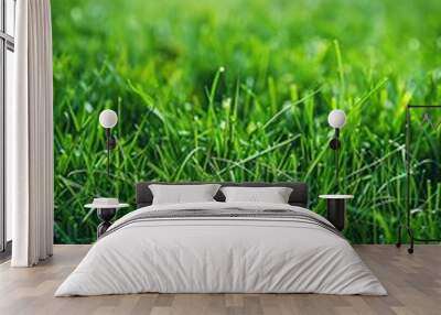 Vibrant close up of lush young bermuda grass creating a picturesque and lush green lawn scene Wall mural