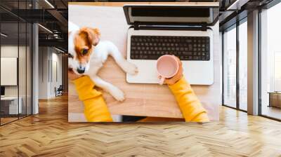 young woman working on laptop at home, wearing protective mask, cute small dog besides. work from home, stay safe during coronavirus covid-2019 concpt Wall mural