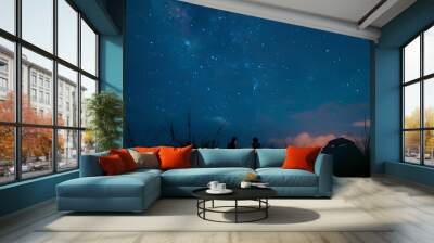 Friends Camping under Starry Night Sky, Friends, camping, starry night sky Wall mural