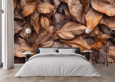  Dry Brown Tree Leaves Texture: Close-Up Background Wall mural