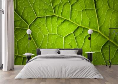 Nature macro photo background with green leaf Wall mural