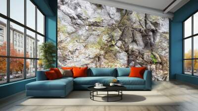 Rocky cliff texture, natural gray stone wall Wall mural