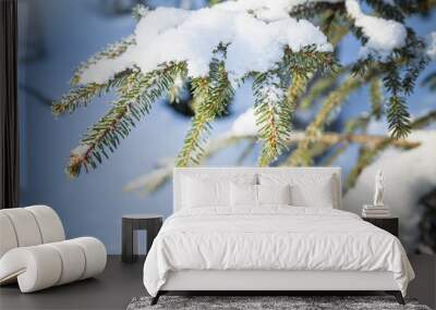 Spruce tree branches covered with snow Wall mural