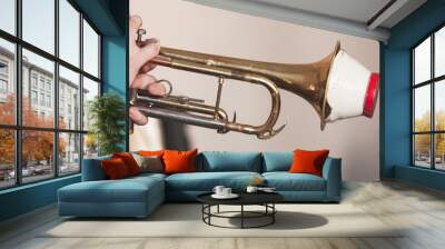 Trumpet with straight mute Wall mural