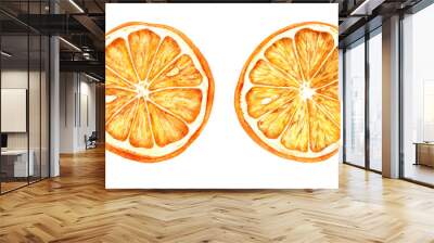 Watercolor hand drawn illustration of dried oranges. Wall mural