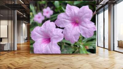 Light Pink Flowers 2 Wall mural