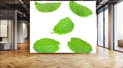 Mint leaf Wall mural