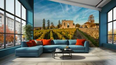 Saint emilion Wall mural