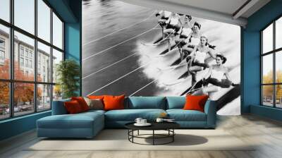 Row of women water skiing  Wall mural