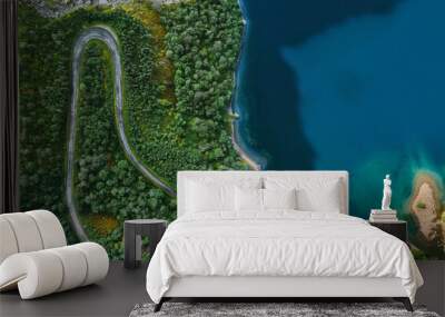 Aerial view serpentine road and forest with sea drone landscape in Norway above trees and blue sea water scandinavian nature wilderness top down scenery Wall mural