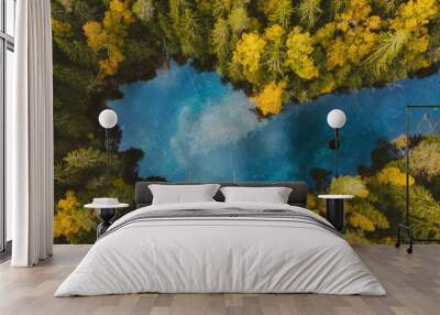 Autumn forest and blue lake aerial view turquoise water reflection framed colorful pine trees landscape travel wilderness scenery in Finland explore scandinavian nature from above top down Wall mural