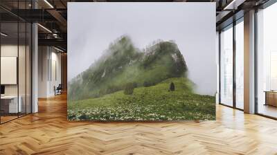 Foggy mountains landscape green valley summer season travel minimalist scenic view Wall mural