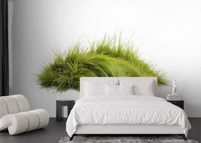 Grass Tufts Collection - isolated on White Transparent Background, PNG
 Wall mural