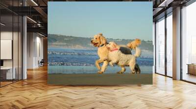 Two Goldendoodle dogs running on ocean beach Wall mural