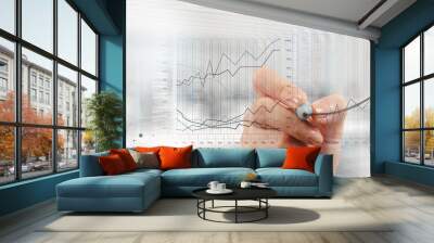 businessman hand working with new modern computer and business s Wall mural