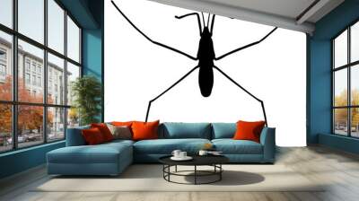 insect in magnifier.water strider. Gerridae. GERRIS LACUSTRIS Sketch of water stride. hand-drawnwater strider. Vector Wall mural