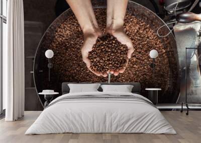 Grains of fresh coffee roasting in hands on the background of the roaster Wall mural