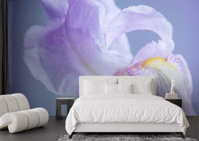 iris flower macro Wall mural