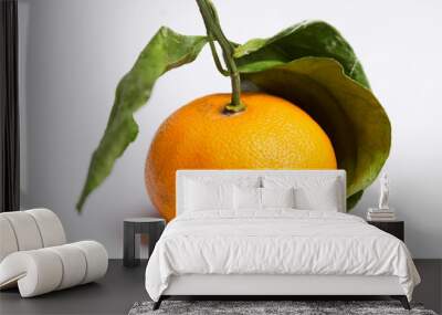 Mandarin on white Wall mural