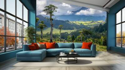 Dramatic valley landscape with unique tree silhouettes and a backdrop of distant mountains under a cloudy sky. Prehistoric plants, prehistoric botanicals concept. Wall mural