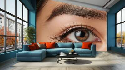 Macro beautiful asian woman brown eye with long lashes Wall mural