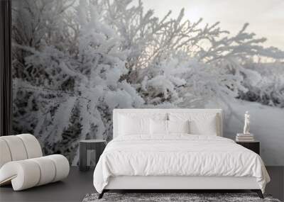 Beautiful winter landscape, frost on the branches of trees, the first snow, Wall mural