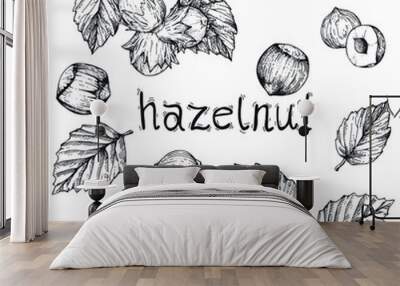 Vector collection with hazelnuts. Hand-drawn sketches with nuts on a white background. Vintage style engraving Wall mural