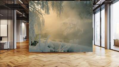 fog in the forest Wall mural