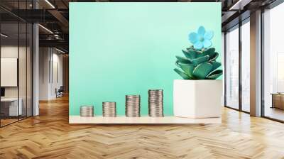 Stacks of coins with flower in pot. Investment growth concept. Wall mural