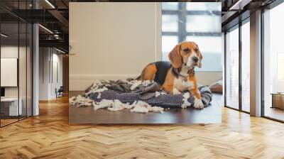 Distressed dog on his bed listening to a reprimand from the owner. Wall mural