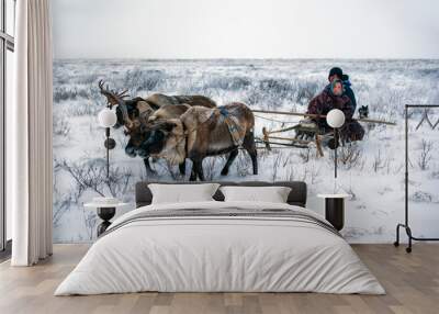 The extreme north, The Yamal Peninsula, tundra, open area, assistant reindeer breeder,  young girl with man rides reindeer harness Wall mural