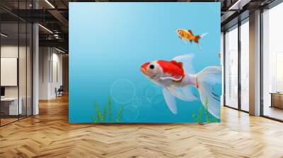 Collage of aquarium gold fish on blue background, banner with copy space, mock up template Wall mural