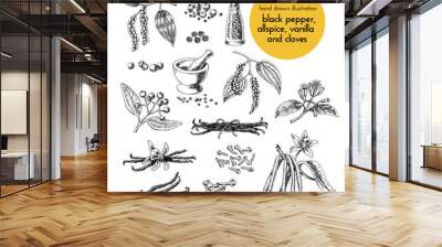 hand drawn vector illustration of herbs and spices. vintage graphic set illustration of vanilla, clo Wall mural