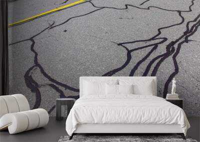 asphalt road with filled cracks. background of the fixed road Wall mural