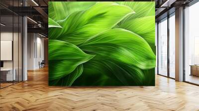 Abstract nature green field or meadow texture lines wallpaper background illustration Wall mural