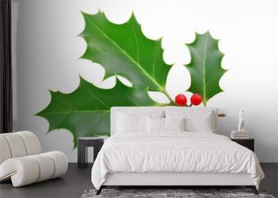 Sprig of Green Holly With Red Berries on a White Background Wall mural