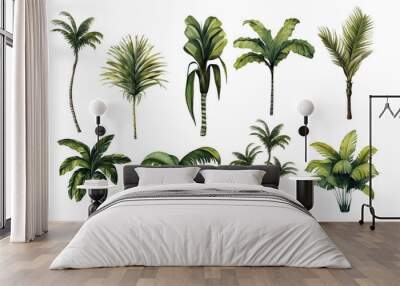 Watercolor set with palm trees and leaves floral plants elements Wall mural