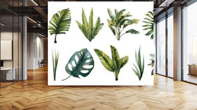 Watercolor set with palm trees and leaves floral plants elements Wall mural