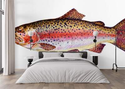 Rainbow trout. Fish collection. Healthy lifestyle, delicious food. Watercolor images. Wall mural