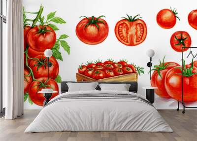 Tomatoes in the box, tomatoes with a leaf, tomatoes on a branch. Set of watercolor illustrations for labels, menus, or packaging design. Wall mural