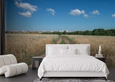 A dirt road running through a field. Wall mural