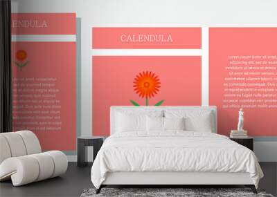 Calendula. Information banner or tag in two designs. Description and useful properties of calendula. Template for essential oil, spices. Brochure with blank space for text. Wall mural